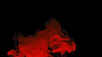 rosso Fumo vorticoso e alla deriva su un' nero sfondo. il vivace rosso vapore le forme drammatico, astratto forme e flussi con un' focoso, misterioso aspetto esteriore. ideale per concetti piace fuoco, energia video
