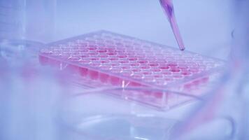 forskare dropp biokemisk lösning i till mikroplatta för dna analys video