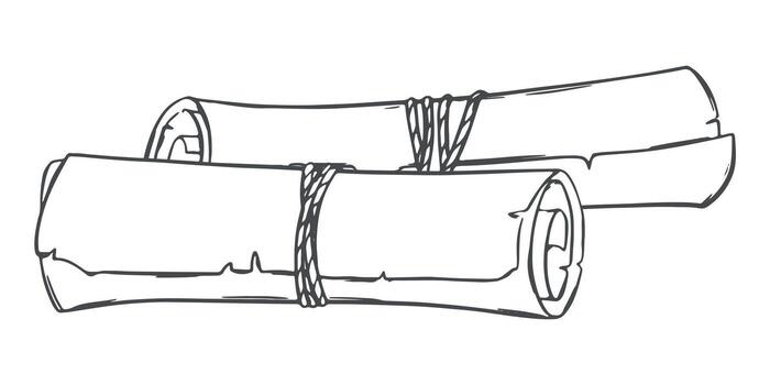 dos rollos de antiguo papel en el mesa. antiguo manuscrito, arrollado arriba. lineal bosquejo, imitación de grabado técnica. vector