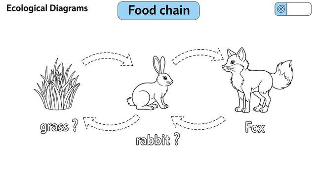 Engaging Educational Food Chain Diagram for Kids Trace Arrows, Learn About Grass, Rabbit, and Fox in a Fun, Simple Worksheet vector