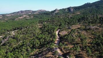 Antenne Aussicht von Felsen und Straße im Wald im Korsika im Juli 2025 video
