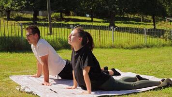 uma casal envolve dentro ioga exercícios dentro seus quintal, exibindo seus comprometimento para ginástica e cada outro. elas prática junto, desfrutando a fresco ar e brilho do sol video