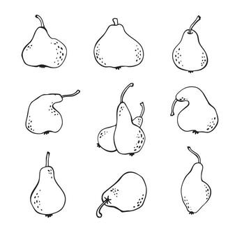 outline pear, pears of various shapes, ugly pear. Design element set for logo, icon, clip art, food print. Simple and stylish. Hand drawn in doodle style. vector