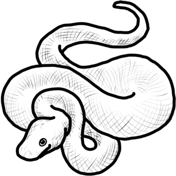 enrolado serpente esboço. simples linha arte ilustração. png