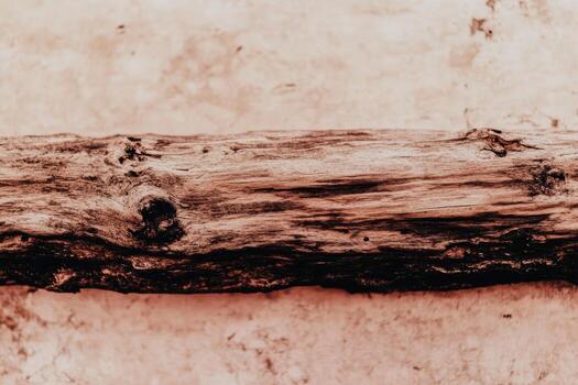 Wooden log resting on a textured surface showcases natural patterns and colors photo