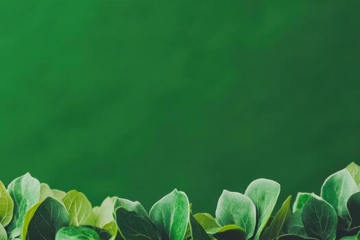 Lush green leaves in a natural backdrop create a serene atmosphere photo