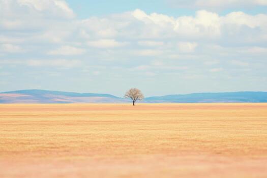 Lone tree standing in a vast golden field under a cloudy sky photo