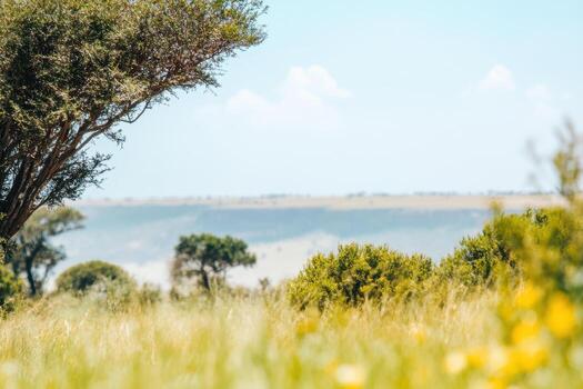 Nature landscape with rolling hills and vibrant greenery in daytime photo