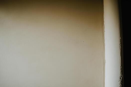 Plain corner of a room with textured wall during soft lighting hours photo