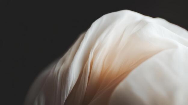 Soft white fabric drapes gracefully in a dimly lit setting during evening hours photo