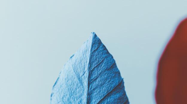Close-up of blue leaf against soft background in artistic display photo