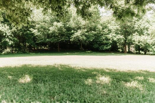 Expansive green field under a canopy of trees during sunny afternoon photo