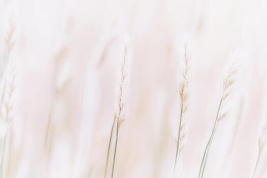 Grass blades gently sway in a soft focus, illuminated by golden hour light photo
