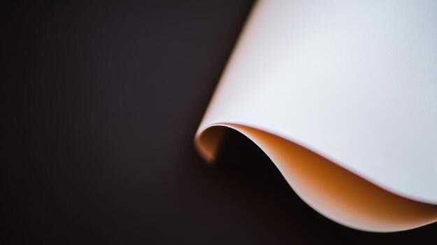 Curled paper resting on a dark surface showcasing texture and detail photo