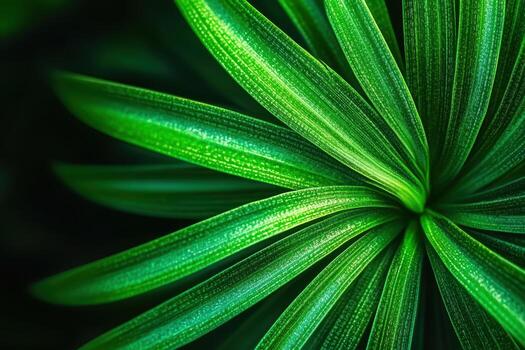 Lush green leaves display rich textures and patterns, illuminated beautifully photo