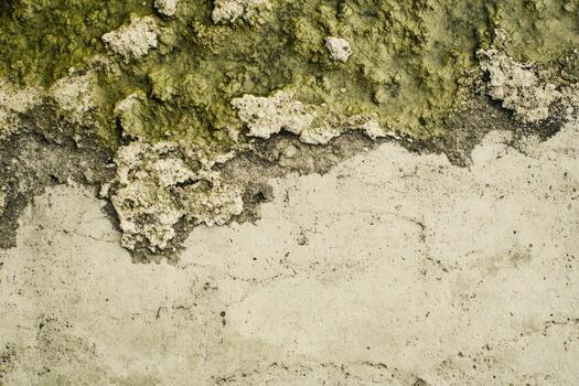 texturizado pared superficie con cubierto de musgo parches y resistido hormigón detalles foto