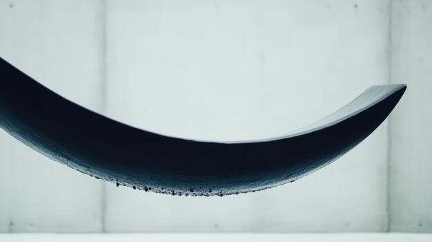 Curved black object suspended against a minimalist background in art space photo