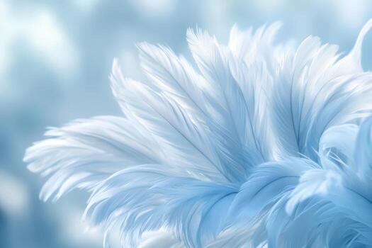Delicate white feathers creating a soft, tranquil atmosphere in a serene setting photo