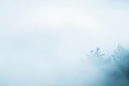Misty morning landscape with trees in a tranquil forest setting photo