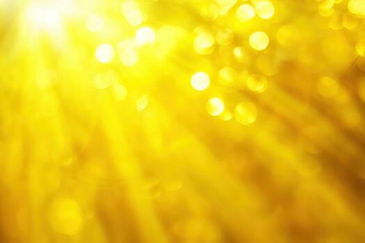 Sunlight filters through foliage creating a warm golden atmosphere photo