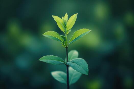 Fresh green leaves sprouting in a serene natural setting during daylight photo
