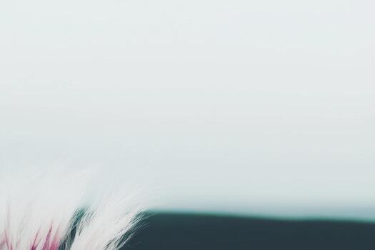 Nature scene with soft grass and blurred horizon at dawn photo