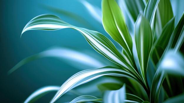 Green leaves with vibrant details in a tranquil background setting photo