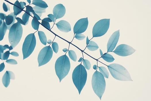 Soft blue leaves creating a calming atmosphere in natural light photo