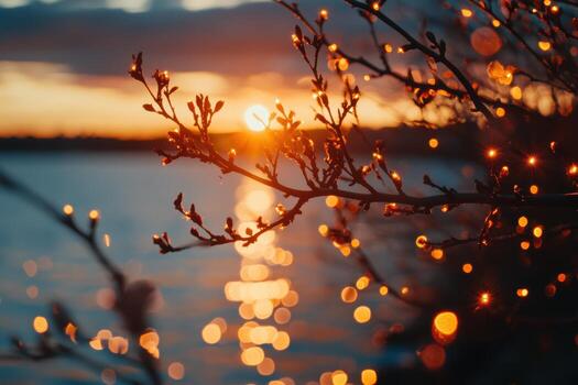 Sunset reflections on water with glowing branches in the foreground photo