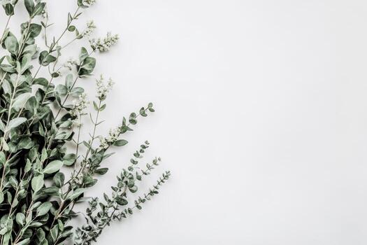 Fresh green herbs arranged on light background for culinary use photo