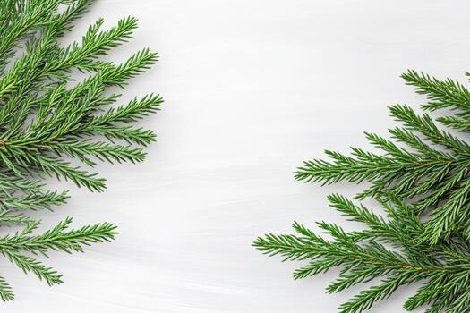 Fresh green pine branches arranged artistically on a light background photo