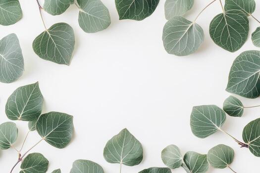Collection of green leaves arranged in a circular pattern on a light background photo