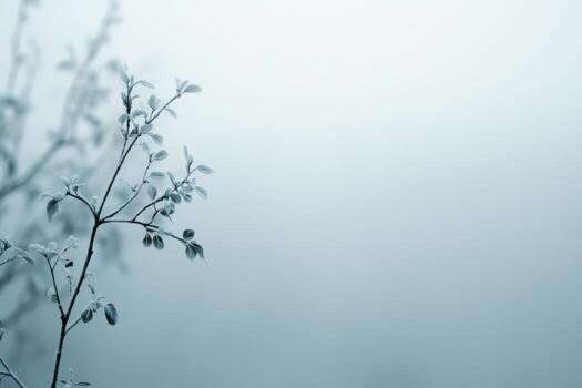 Frost-covered branches glimmering in the soft winter light at dawn photo