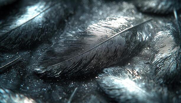 Close-up of dark feathers with water droplets and shimmering highlights photo