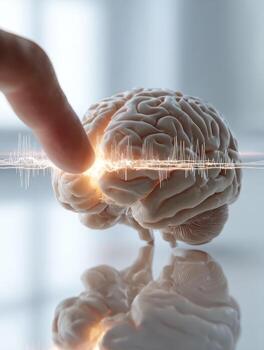 Interactive brain model with digital neural activity visualization photo