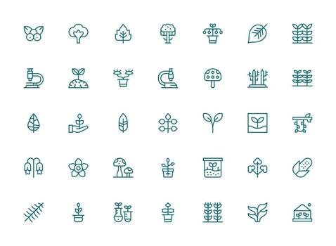 Botany Icon Set with 35 Regular Clean Line Graphics Clean Set for Layout Prototypes vector