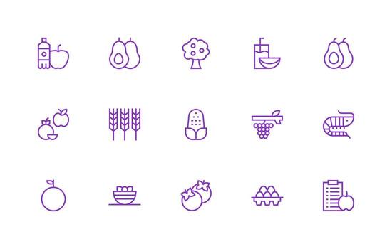 15 Regular Line Style Icons from Healthy Food Collection Reliable Icons for All Interfaces vector