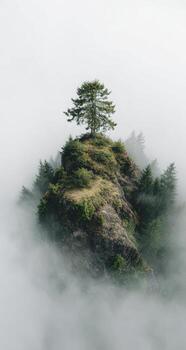 A lone tree on top of a mountain surrounded by fog photo
