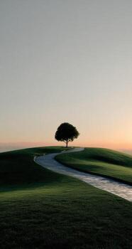 A lone tree stands on a hill overlooking a green field photo