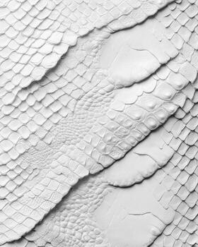 White snake skin texture background photo