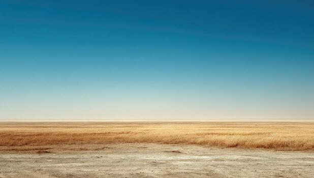 An empty field with grass and sky photo