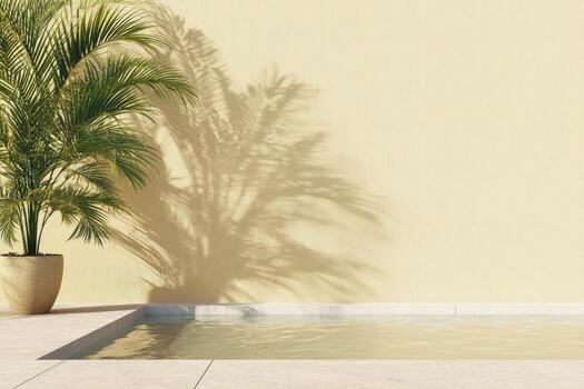 A potted palm tree next to a pool photo