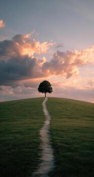 un solitario árbol soportes en un colina con un camino líder a eso foto
