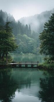 A bridge over a lake in the middle of a forest photo