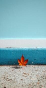 A single red maple leaf on the ground photo
