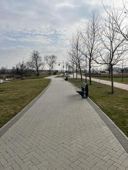 Empty paved pathway in city park with benches and bare trees on cloudy spring day with calm quiet atmosphere photo