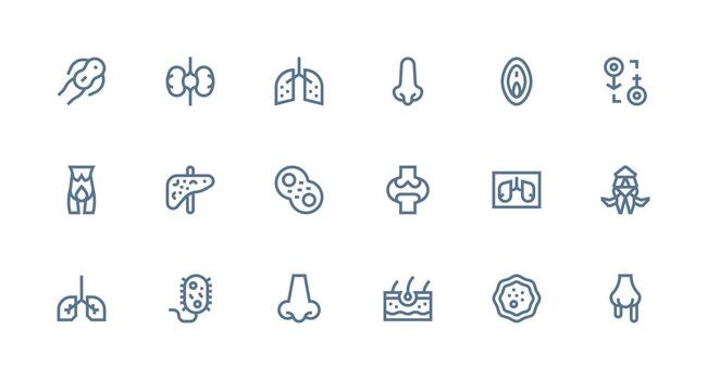 18 Strong Stroke Line Style Icons from Anatomy Collection Clear and Concise Icon Set Collection vector