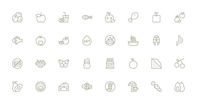 32 Thin Line Designs for Diet Icons Minimal Icon Set for Interface Projects vector