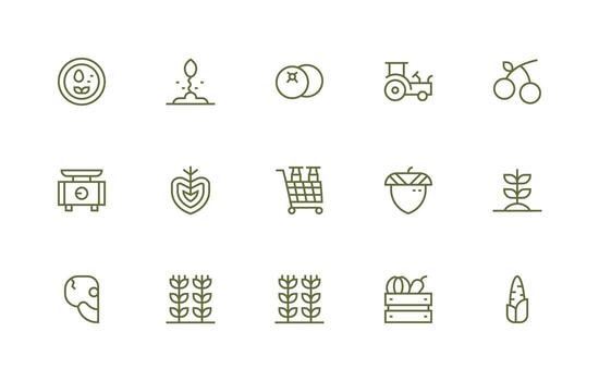 Produce Icon Set with 15 Regular Line Graphics Simple Icons for Interface and Wireframes vector
