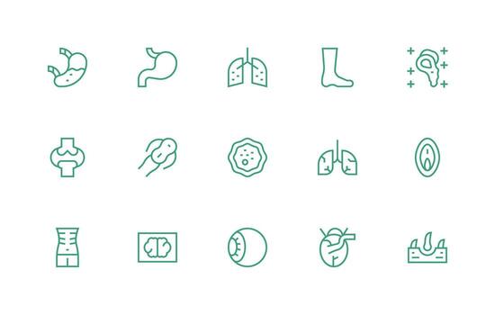 Anatomy Set with 15 Regular Line Icons Multi-Style Icon Collection vector